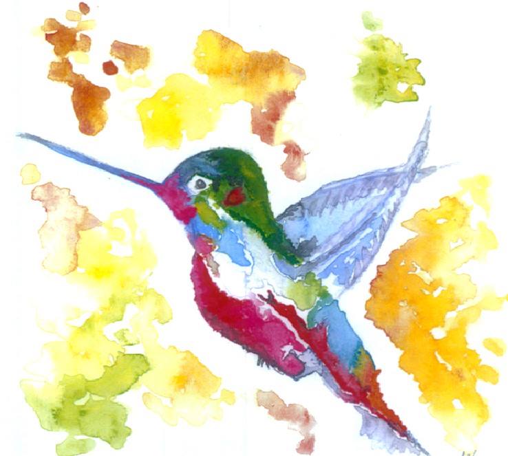 Colibrí