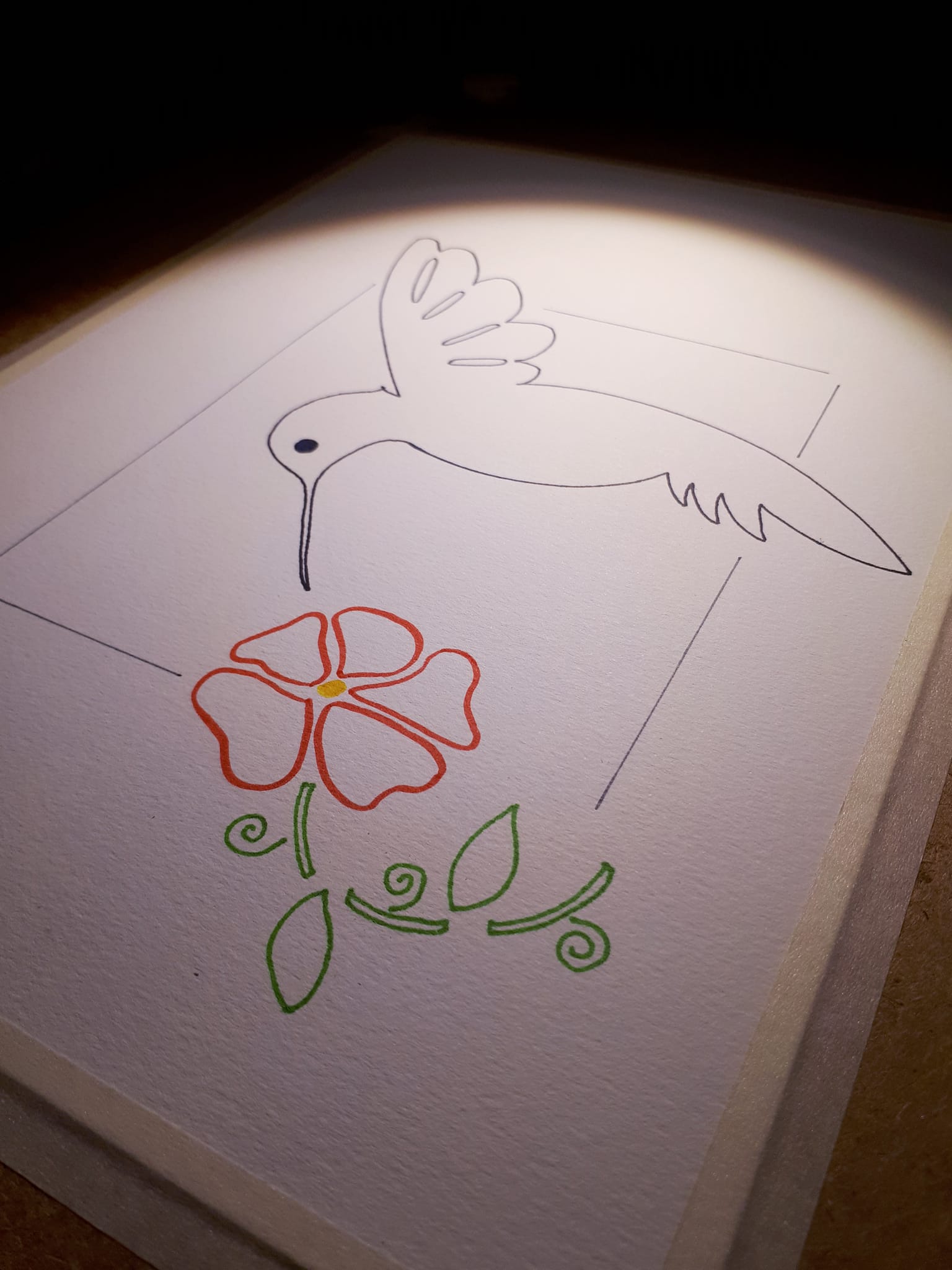 Colibrí